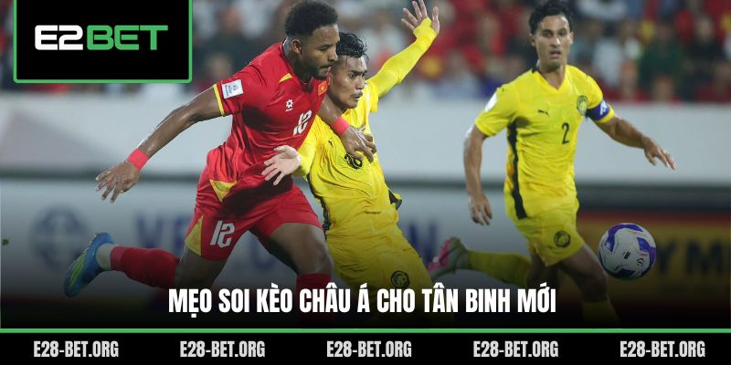 Mẹo soi kèo châu Á cho tân binh mới Mẹo soi kèo châu Á cho tân binh mới
