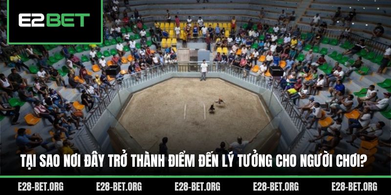Tại sao nơi đây trở thành điểm đến lý tưởng cho người chơi? Tại sao nơi đây trở thành điểm đến lý tưởng cho người chơi?
